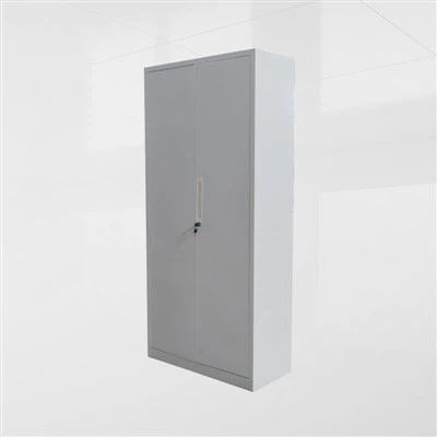 Dvostruki ormar za instrument čelika za dva vrata